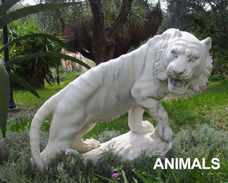 Animals