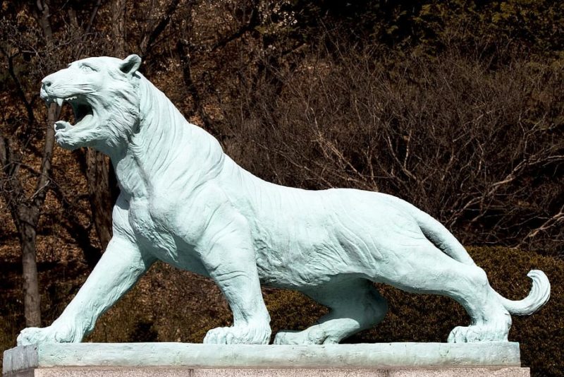 Statue tiger of malayan tiger