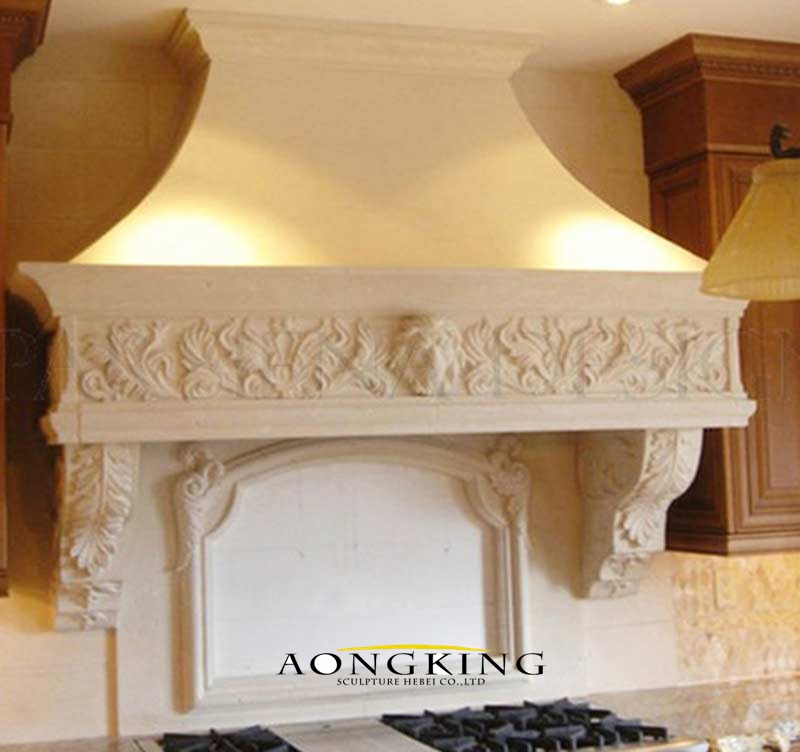 Wall mounted range hood